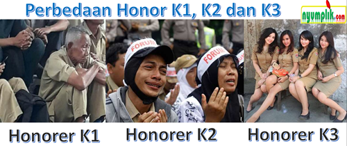 Wajib Tau Perbedaan Honorer K1, K2 dan K3