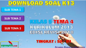 Download Soal K13 Kelas 5 Tema 4 Revisi 2018