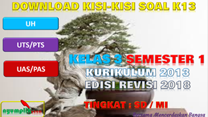 Kisi-Kisi Soal UH, PTS, PAS K13 Kelas 3